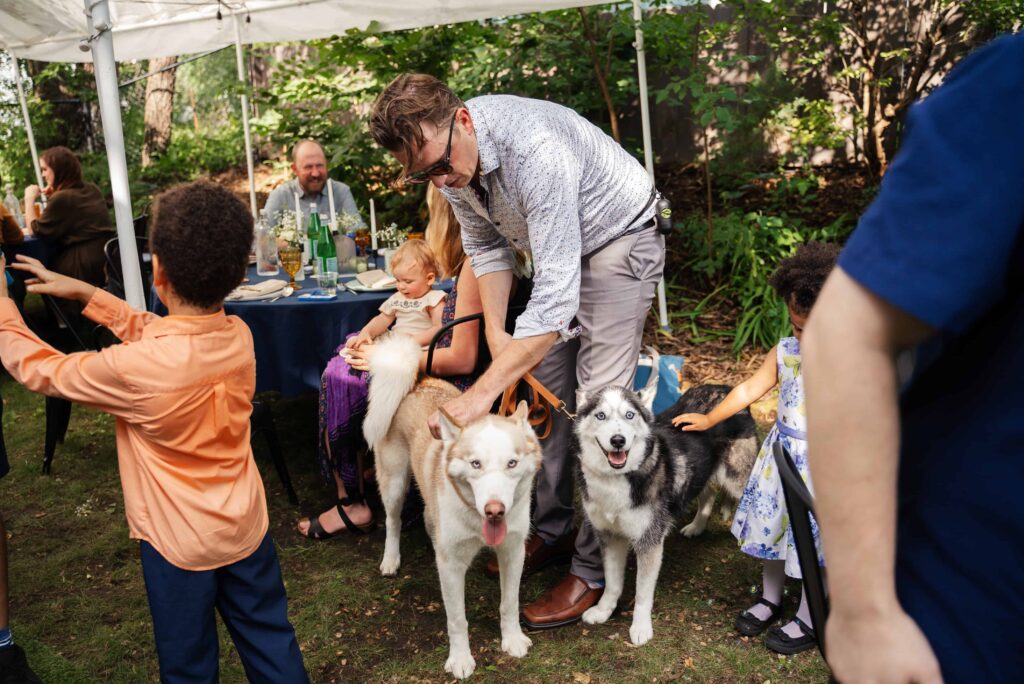 The couple incorporated their dogs during their backyard wedding in Saint Paul, Minnesota